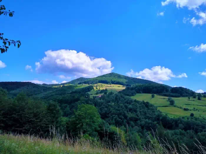 Makowica fot. beskidsadecki.eu