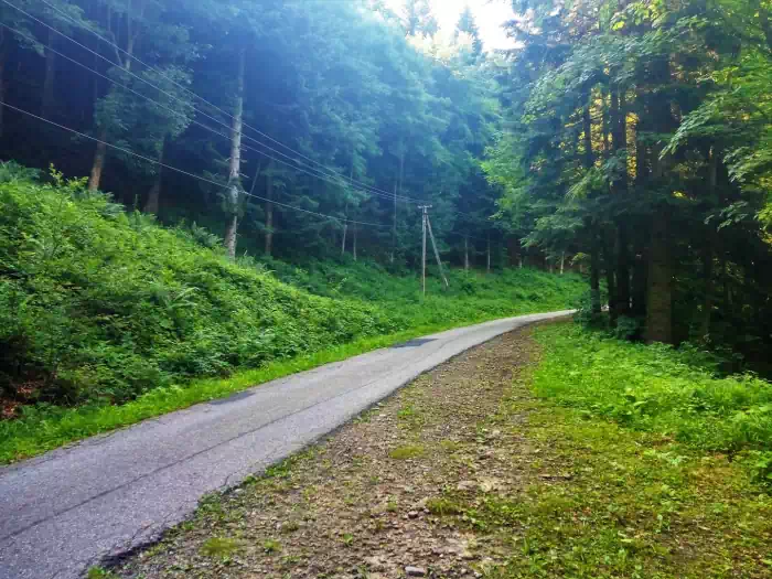 W drodze na Przehyb fot. beskidsadecki.eu