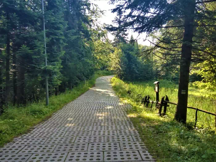 Zejcie z Gry Parkowej w stron Huzar fot. beskidsadecki.eu