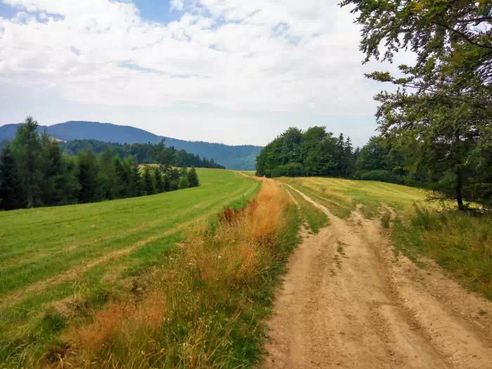 Polana Dugie Maki fot. beskidsadecki.eu