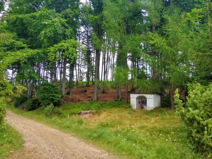 Podejcie na szczyt Jaworzynka 1001 m.n.p.m.-szlak ty ;;  fot. beskidsadecki.eu