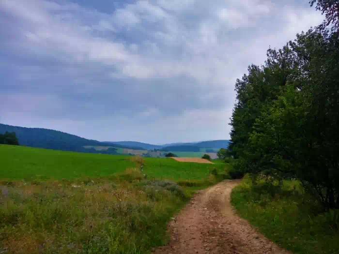 Szczawnik-szlak ty ;;  fot. beskidsadecki.eu