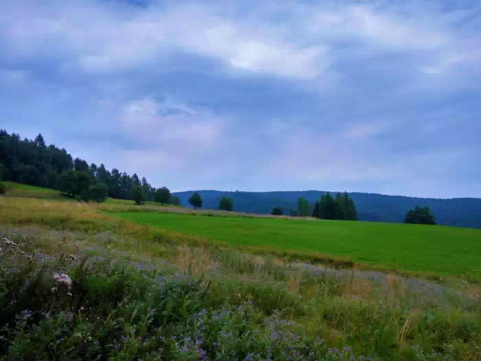 ki nad Szczawnikiem  fot. beskidsadecki.eu