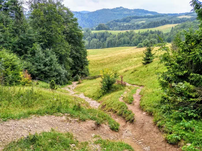 Polana pod Wysok fot. beskidsadecki.eu