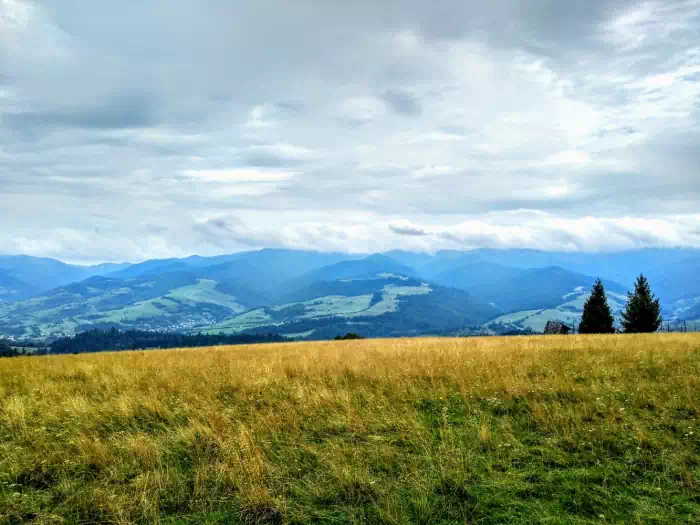 Durbaszka ( 942 m.n.p.m ) widok na Pasmo Radziejowej fot. beskidsadecki.eu