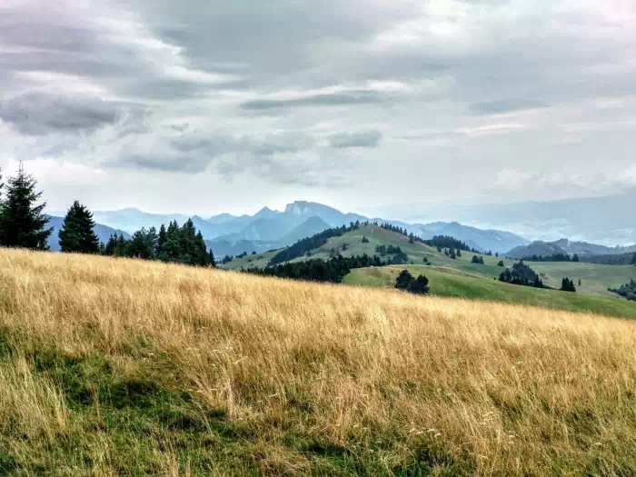 Durbaszka ( 942 m.n.p.m ) widok na Wysoki Wierch oraz Pieniny, fot. beskidsadecki.eu