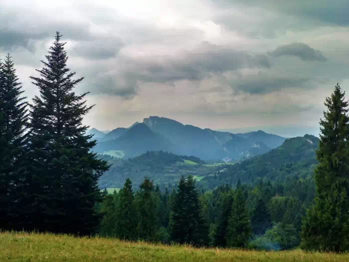 Huciawa ( 818 m.n.p.m ) szlak ty i niebieski fot. beskidsadecki.eu