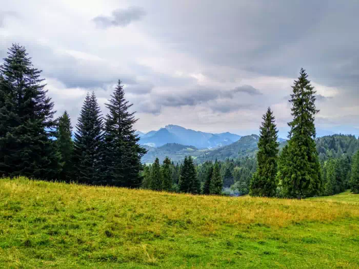 Huciawa ( 818 m.n.p.m ) szlak ty i niebieski fot. beskidsadecki.eu