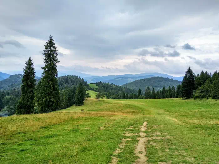 Huciawa ( 818 m.n.p.m ) szlak ty i niebieski fot. beskidsadecki.eu