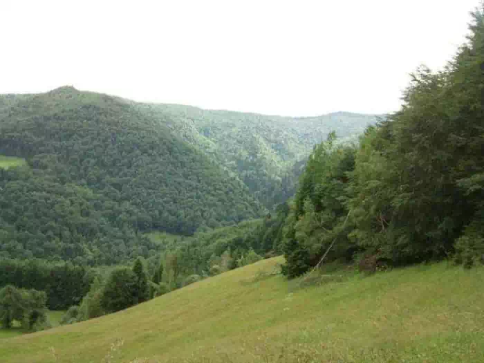 Polana Maćkowska - Rytro 