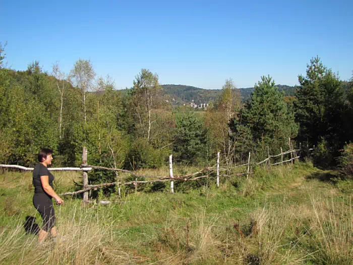 cieka szlaku wchodzi w trawers wschodnich stokw Holicy fot. https://gorskiewedrowki.blogspot.com/