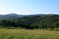  Na prawo dolina Czarnej Wody i Beskid Sądecki - Złomisty Wierch (po lewej) i Radziejowa. Bliżej Pokrywisko z zarastającymi halami