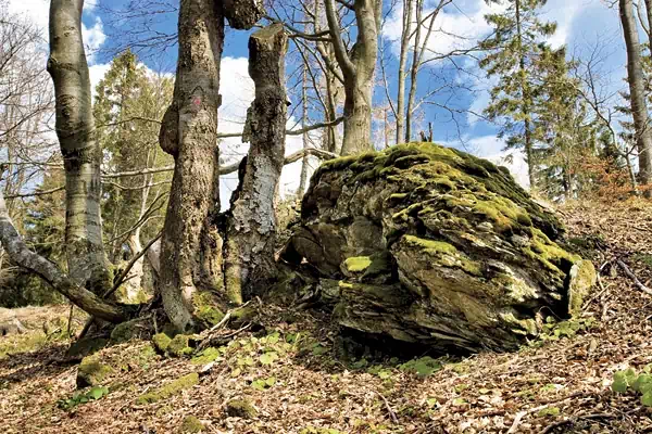 Rezerwat przyrody ebracze  fot. szczawnik.muszyna.pl