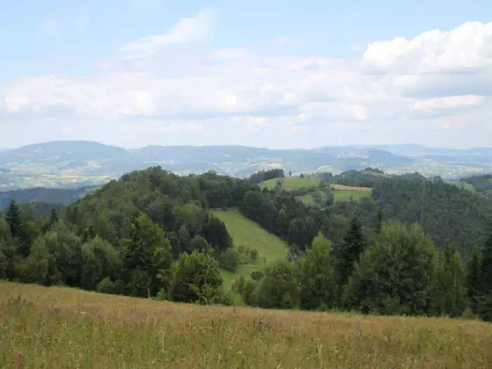 Widok na Okrglice fot. Bogso