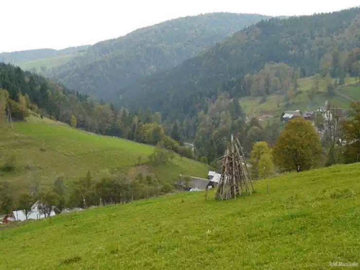 Rezerwat przyrody Łabowiec fot. Rafal Patryk