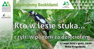 Wędrujemy Beskidami, 17.05.2025, Wola Krogulecka
