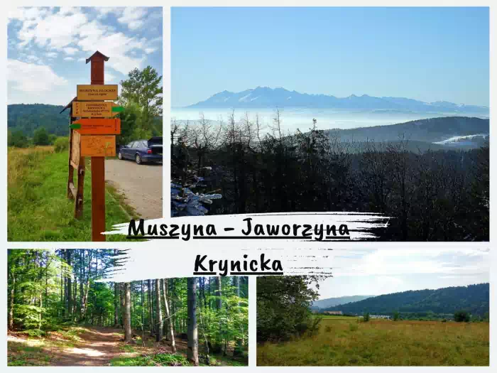 Najpiękniejsze szlaki w Beskidzie Sądeckim Muszyna - Jaworzyna Krynicka