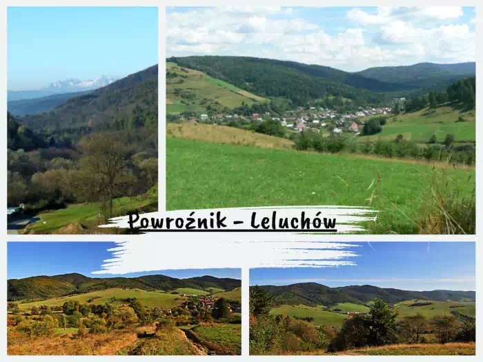 Najpiękniejsze szlaki w Beskidzie Sądeckim Powroźnik - Czarne Garby/Przehyby - Leluchów