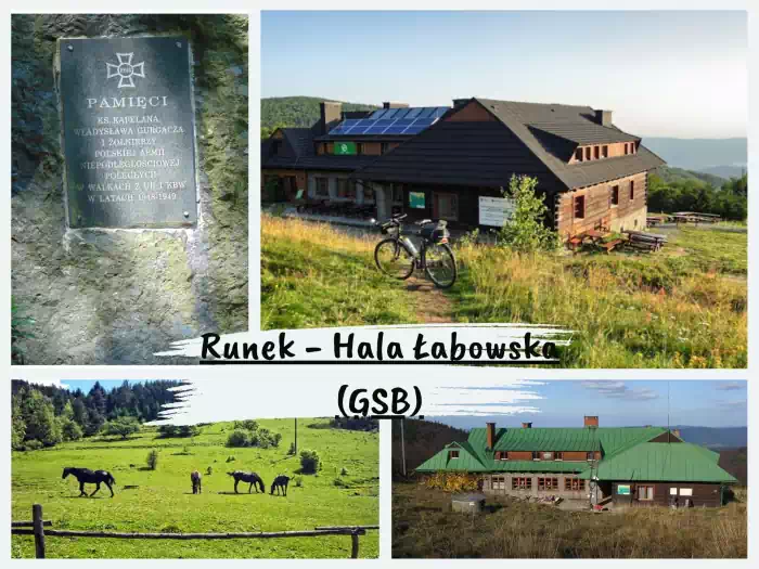 Najpiękniejsze szlaki w Beskidzie Sądeckim Runek - Hala Łabowska (GSB)