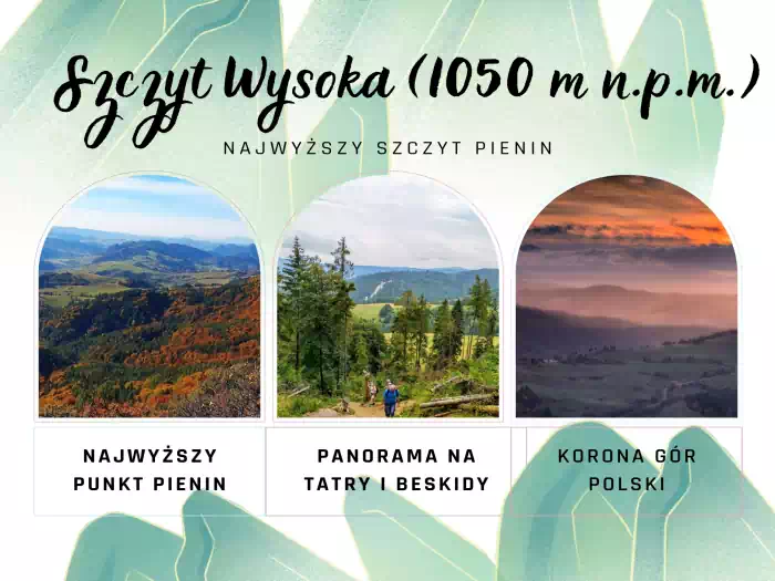 Szczyt Wysoka (1050 m n.p.m.)