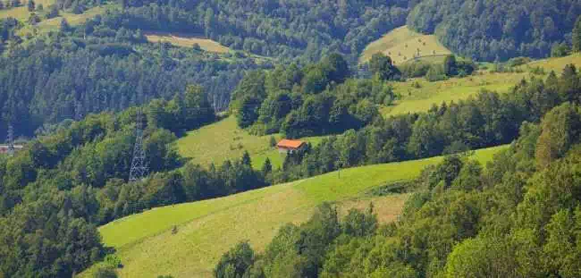  Dermanowski Wierch ( 558 m n.p.m.) panorama