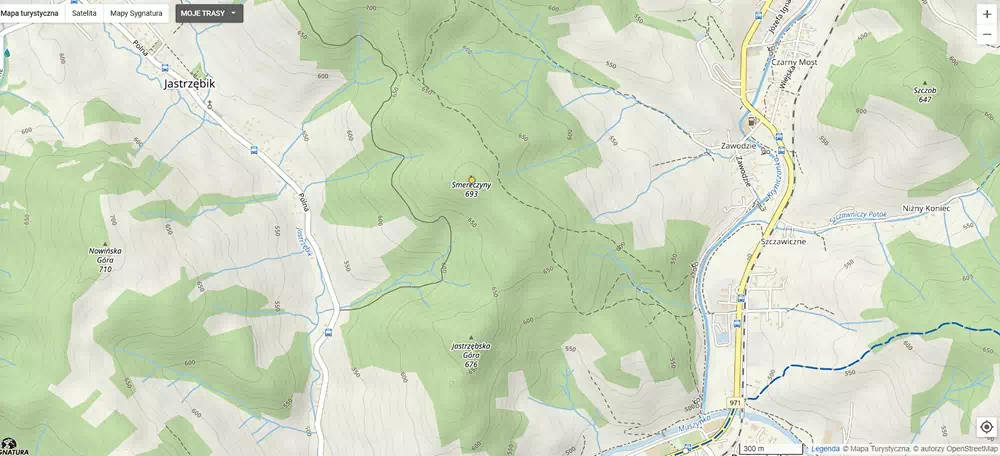  Smreczyny ( 693 m n.p.m.) panorama