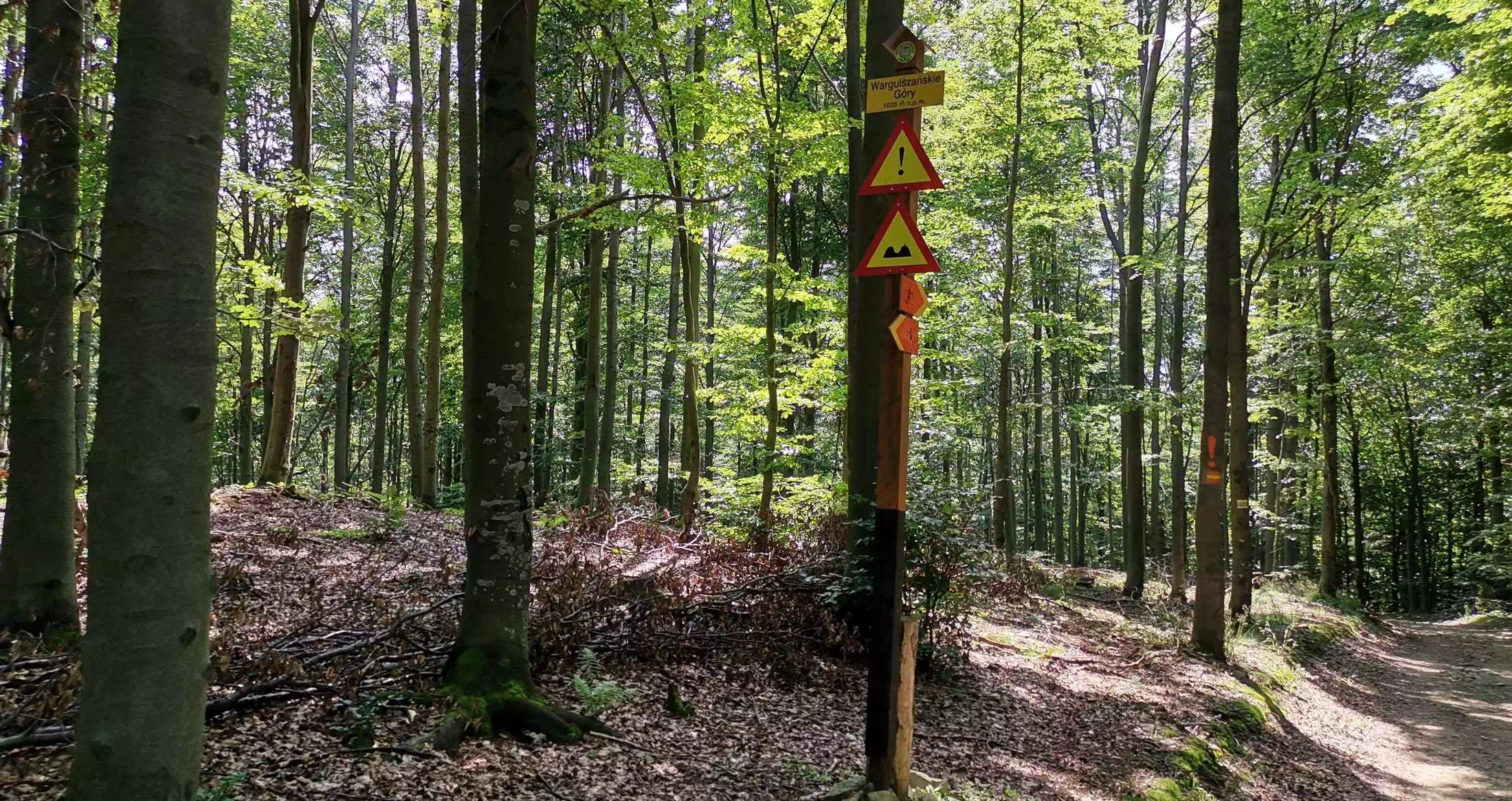  Wargulszańskie Góry ( 1035 m n.p.m.) panorama