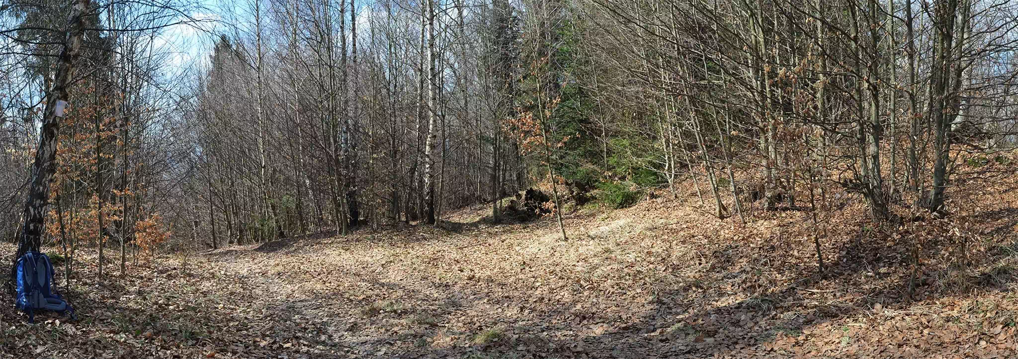 Barnów Las ( 857 m n.p.m.)