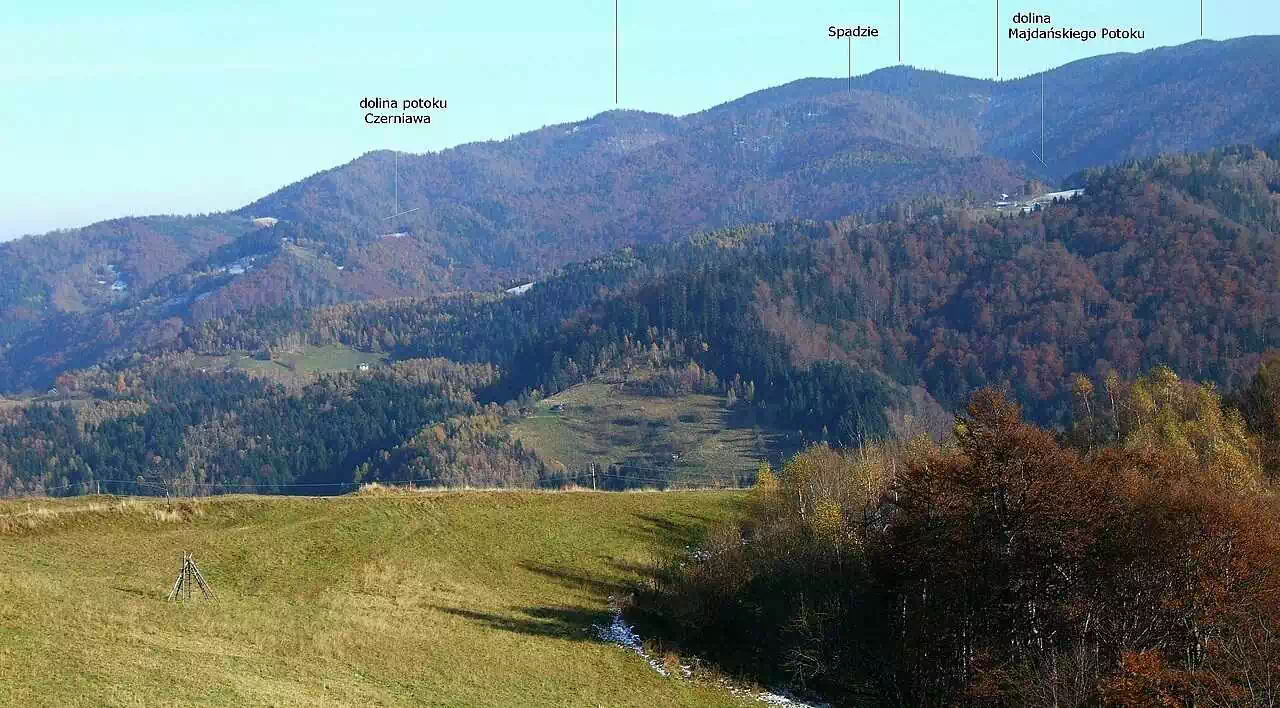 Będzikówka (972 m n.p.m.) panorama