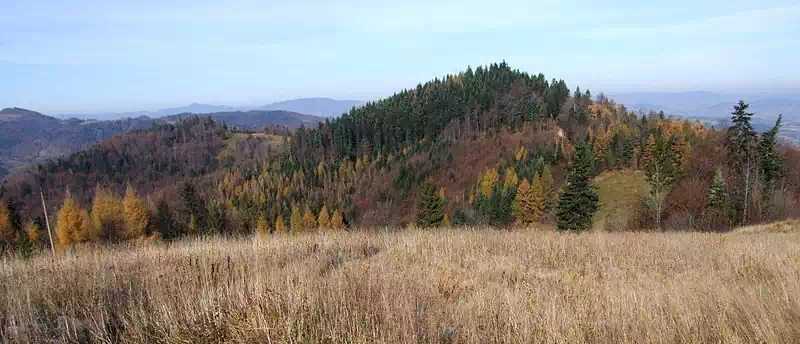   Bucznik (870 m.n.p.m.) panorama