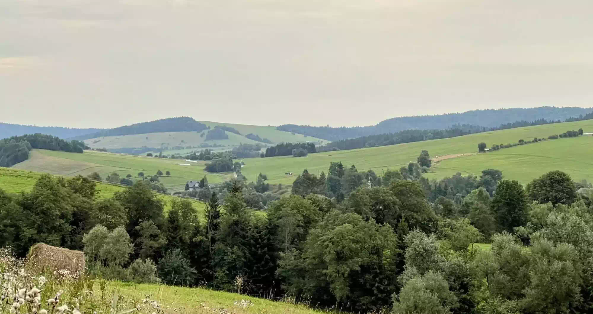 Bukowina (810 m.n.p.m.) panorama
