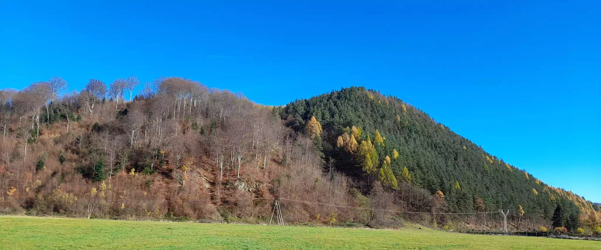 Bystra (558 m.n.p.m.) panorama