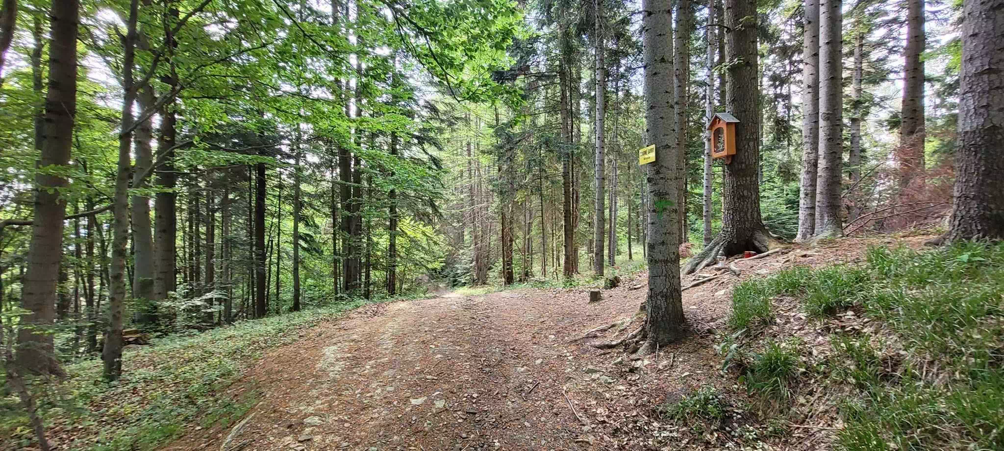  Garby ( 830 m n.p.m.) panorama
