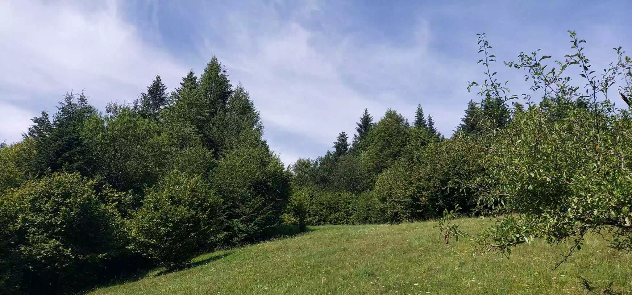  Gucka ( 763 m n.p.m.) panorama