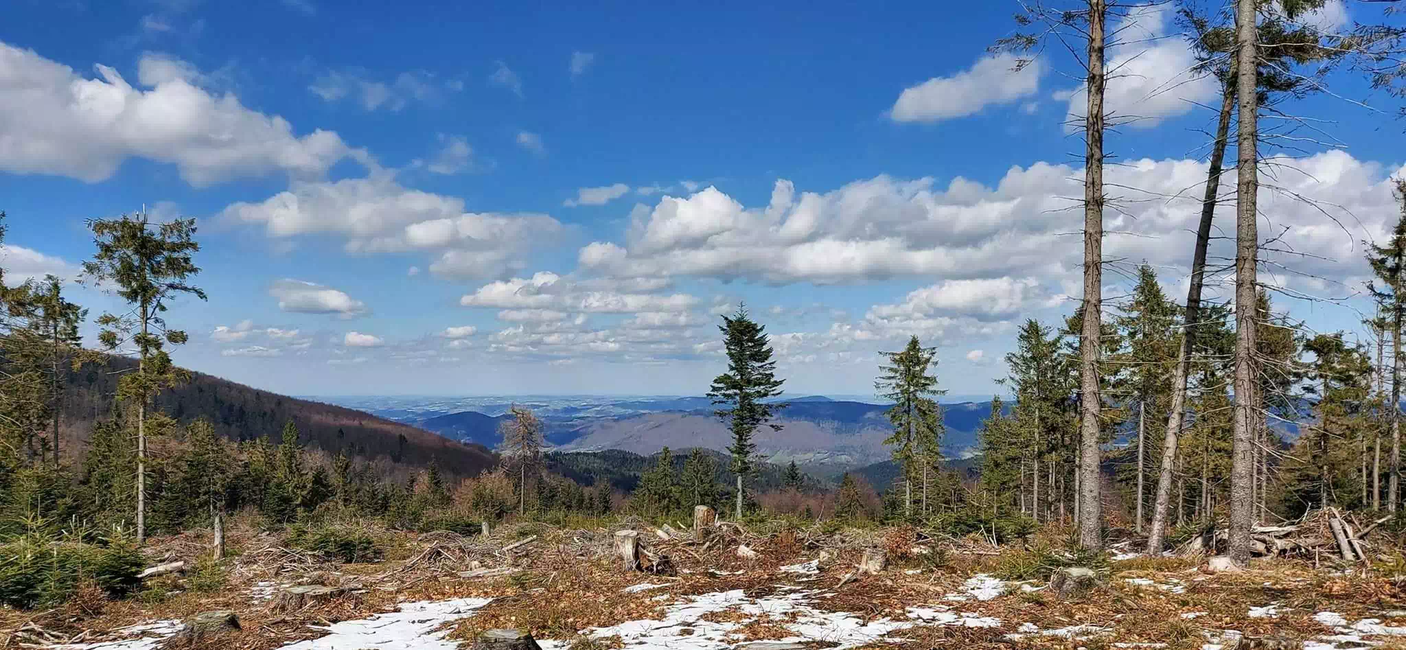  Jawor ( 1027 m n.p.m.) panorama