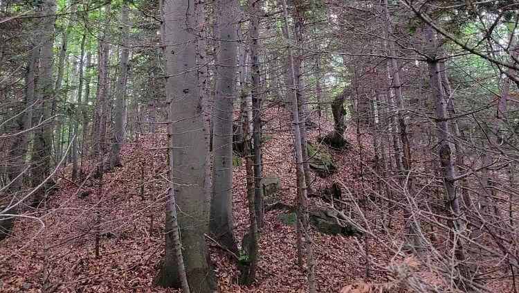  Jaworzyca ( 738 m n.p.m.) panorama