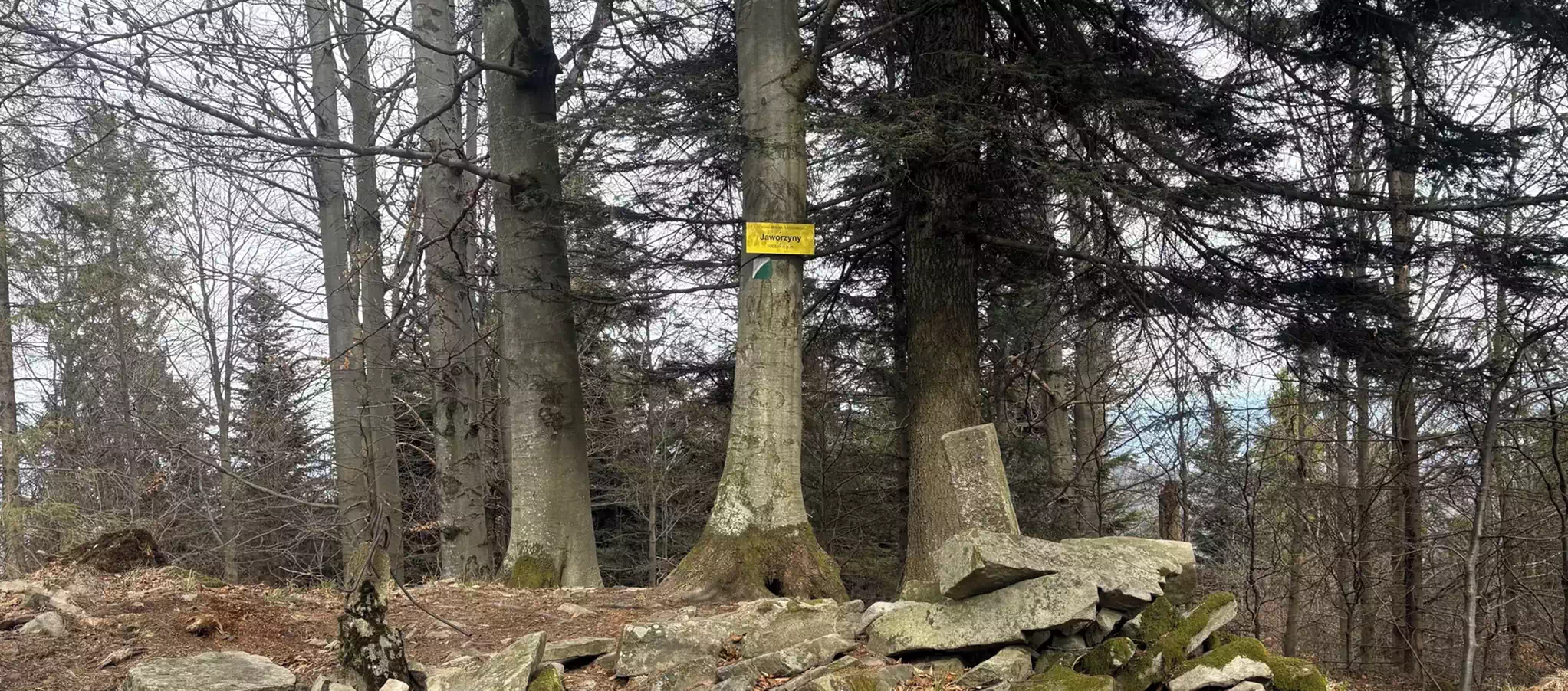  Jaworzyny ( 1068 m n.p.m.) panorama