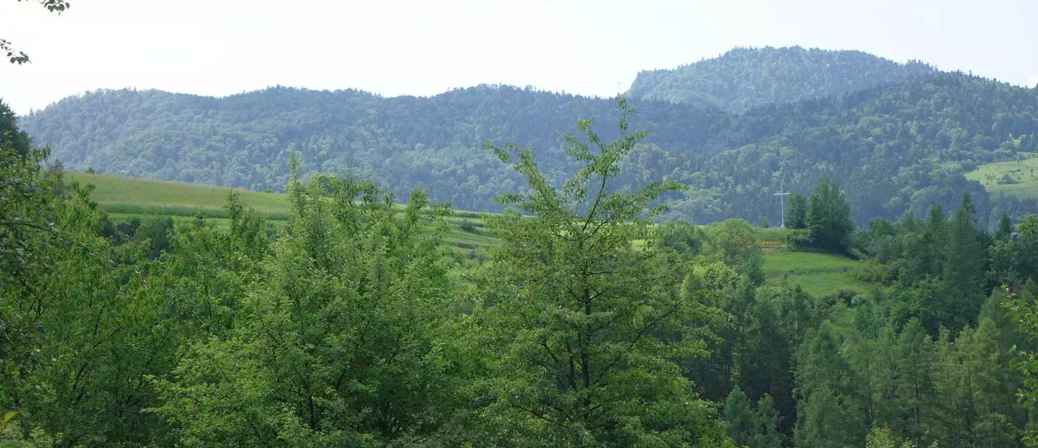  Juraszowa Góra ( 560 m n.p.m.) panorama