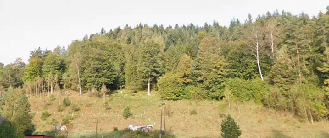  Kiczera (727 m n.p.m.) panorama