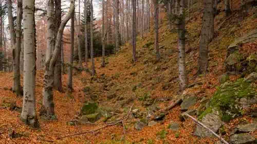  Kobylarka (956 m n.p.m.) panorama