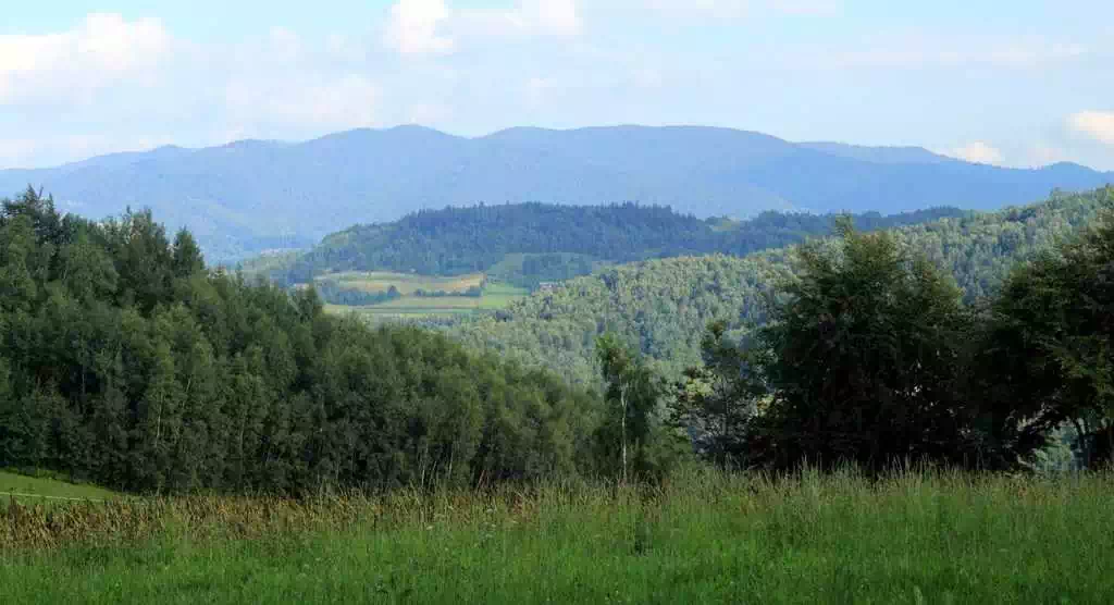  Kobylnica (685 m n.p.m.) panorama