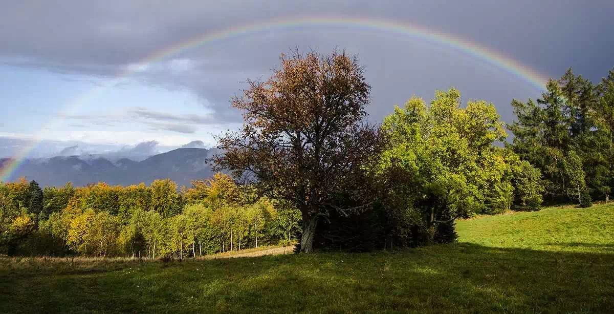  Kordowiec (763 m n.p.m.) panorama