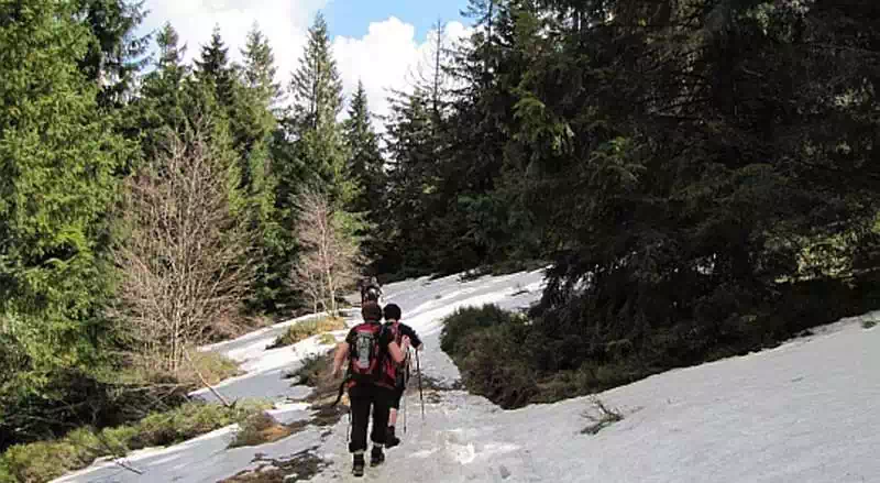 Łaziska ( 941 m n.p.m.) panorama