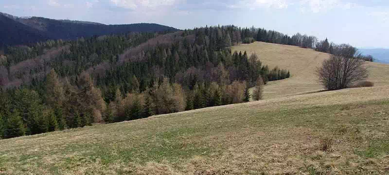  Liskowa ( 959 m n.p.m.) panorama
