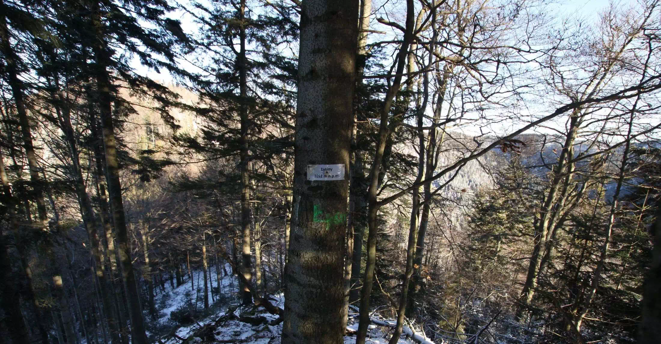  Łysiny ( 1052 m n.p.m.) panorama