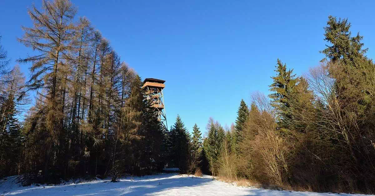  Malnik ( 726 m n.p.m.) panorama