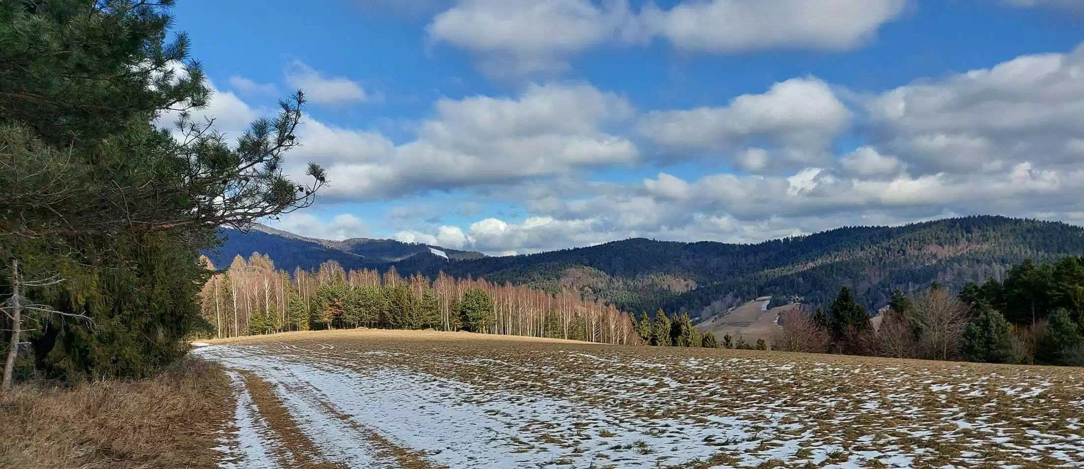  Nowińska Góra ( 710 m n.p.m.) panorama