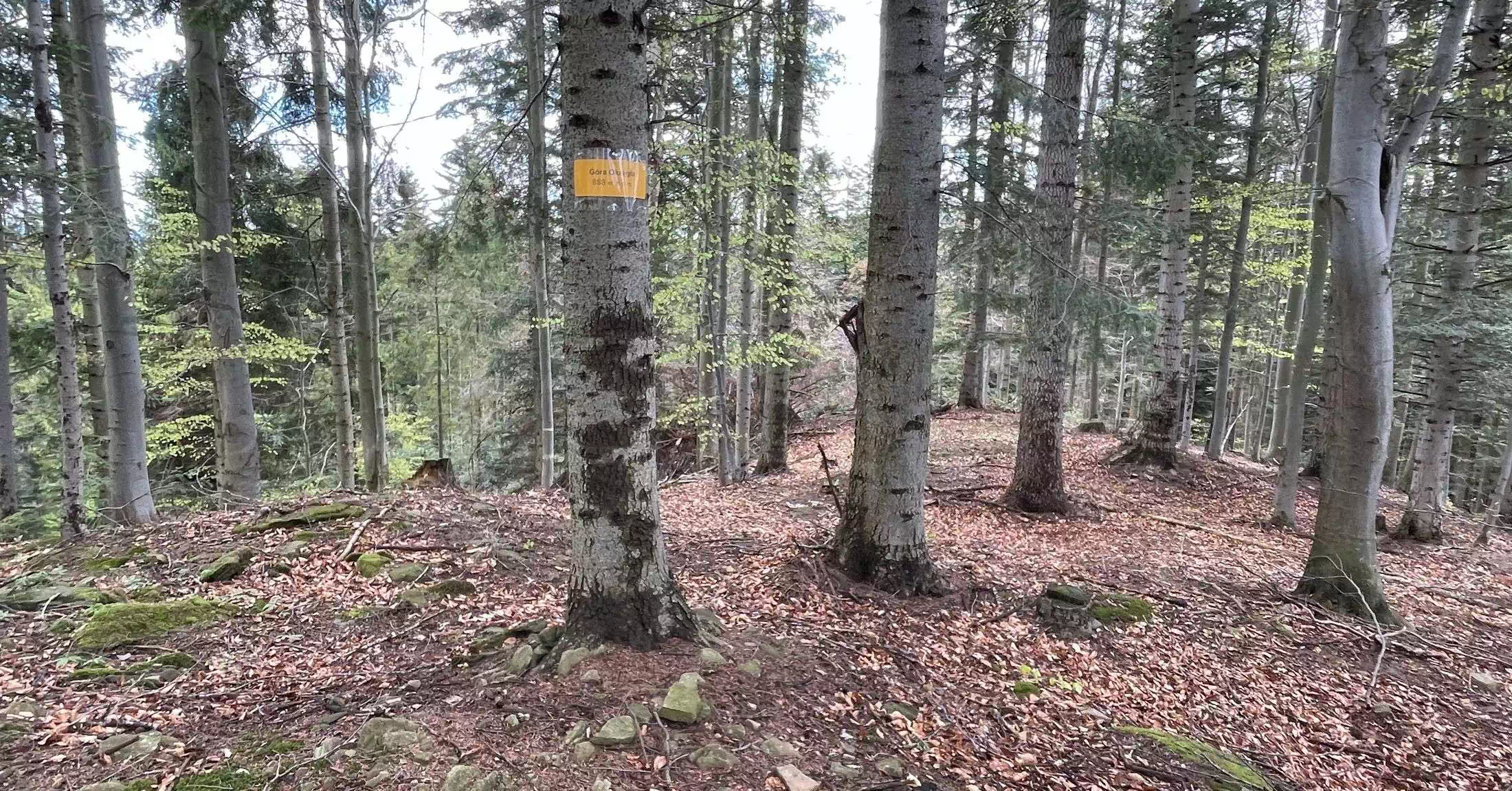  Okrągła ( 888 m n.p.m.) panorama