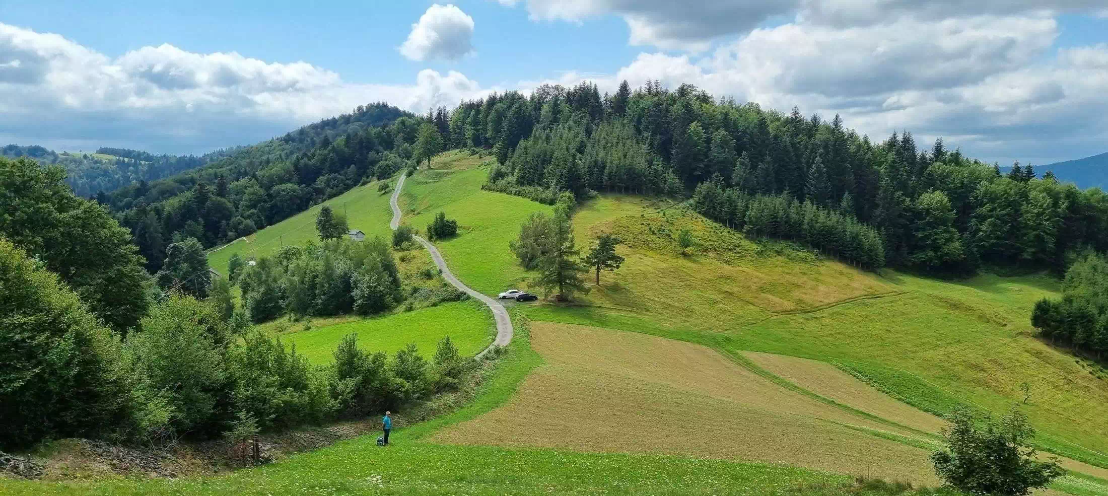  Okrąglica Północna ( 767 m n.p.m.) panorama