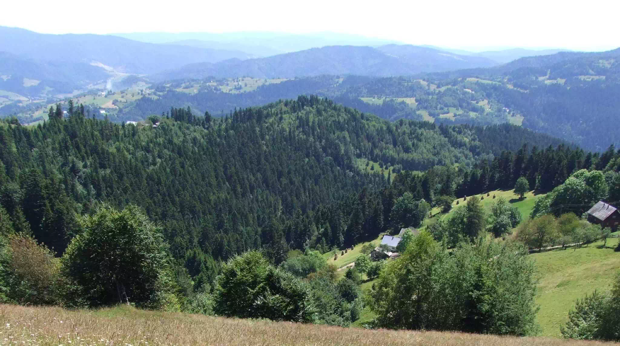  Kamienny Groń (758 m n.p.m.) panorama